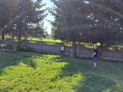  (photo)