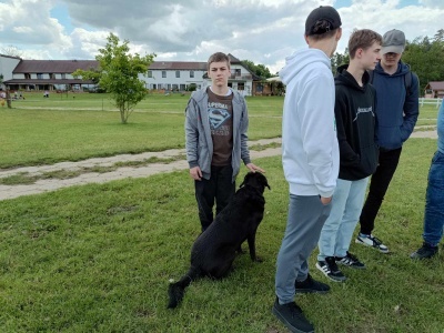  (photo)