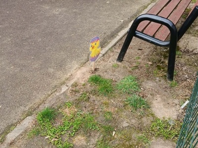 (photo)