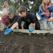 Realizacja projektu „Akademia Zawodów” – zajęcia ogrodnicze w klasie II